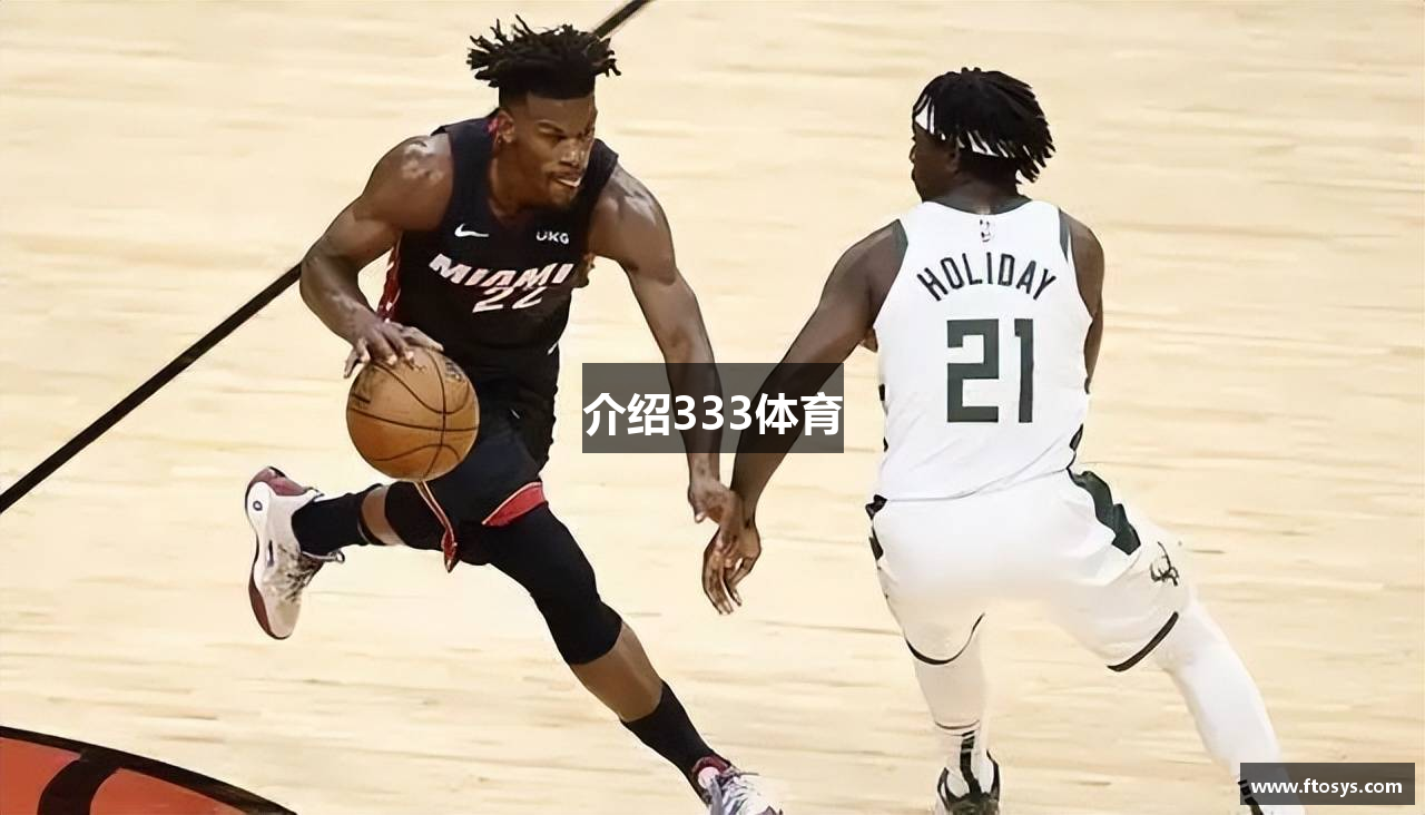 介绍333体育